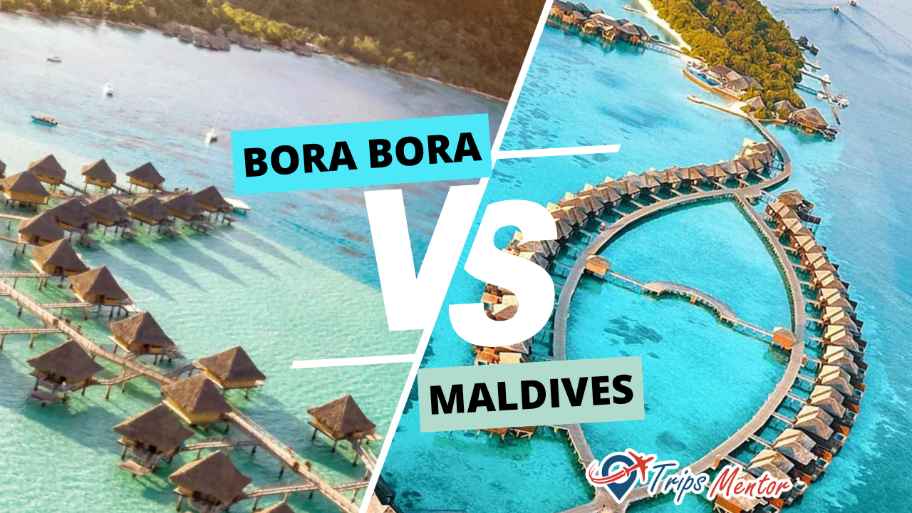 Bora Bora vs The Maldives: Which Tropical Paradise is Best for You?